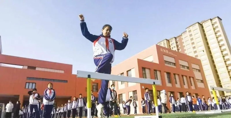 许多国外球